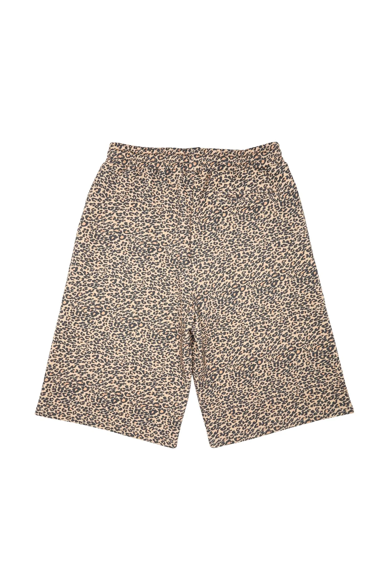 CACTUS | Leopard Sweat Shorts - Image 2