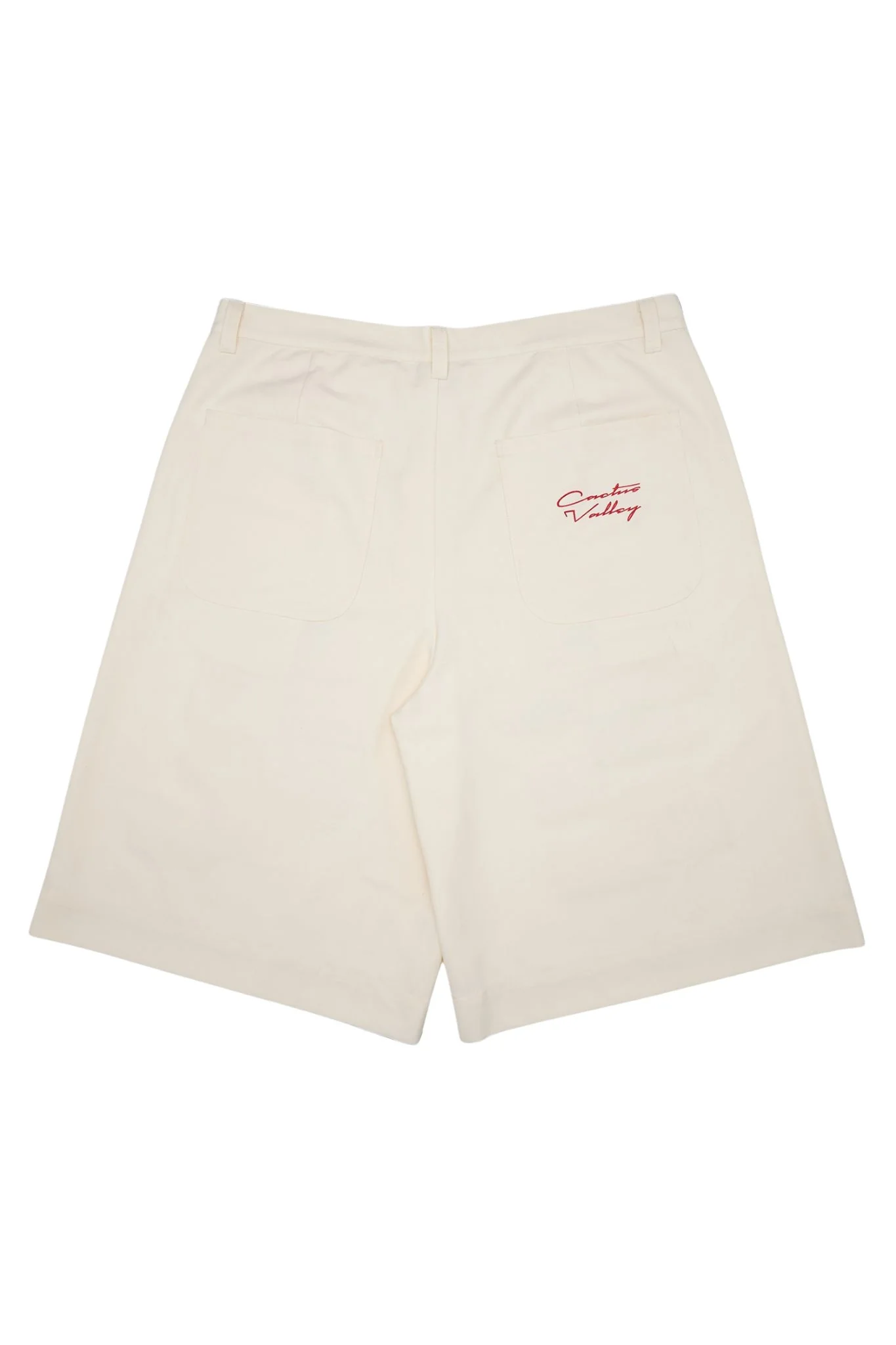 CACTUS | Pleated Roadside Shorts - Image 2