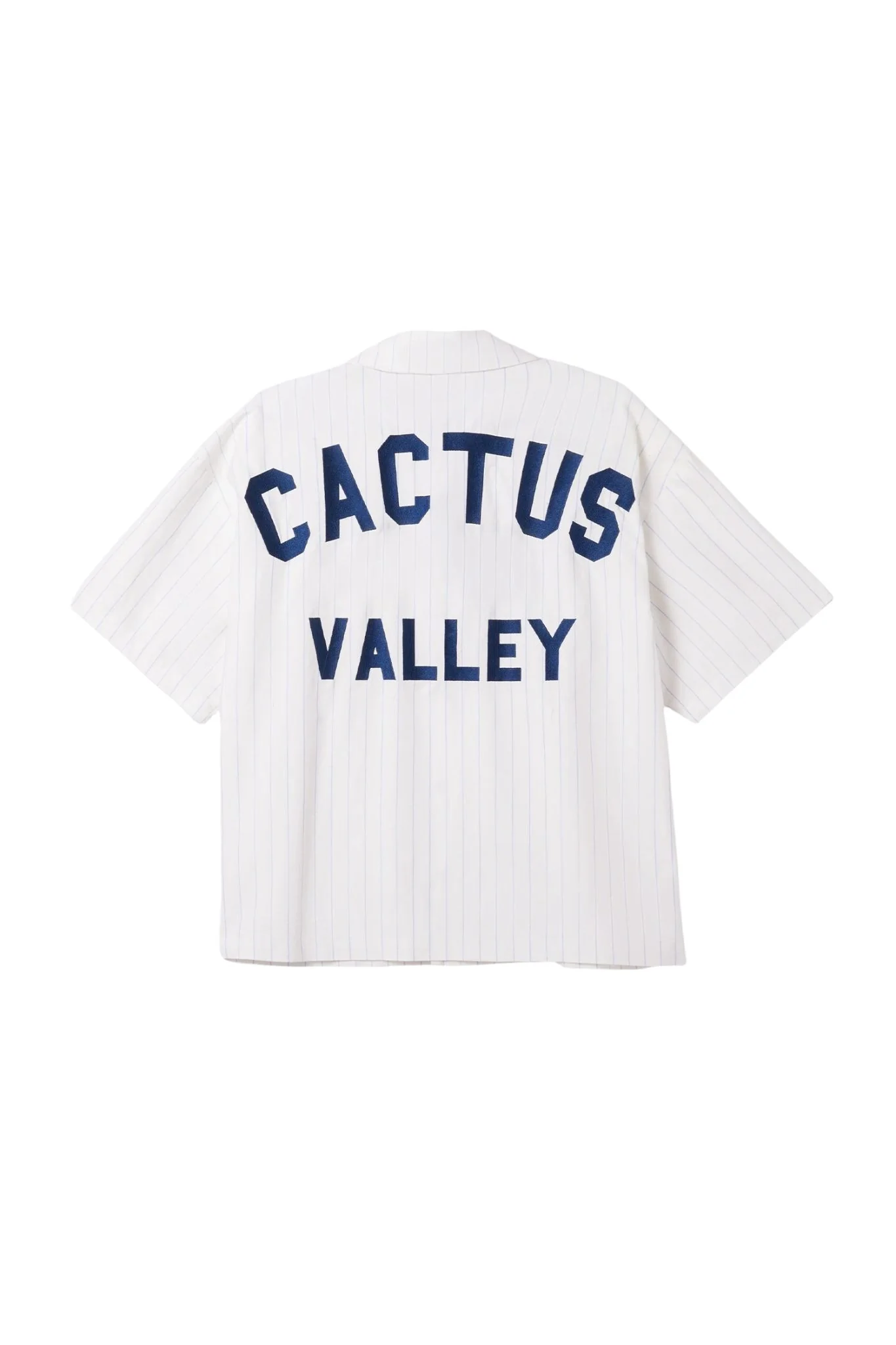CACTUS | Valley Pinstripe Shirt - Image 2